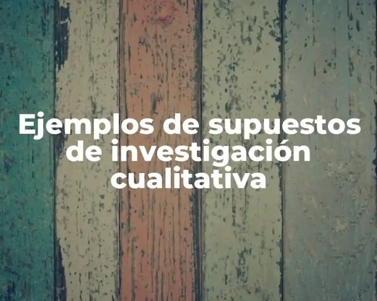 Ejemplos de supuestos de investigación cualitativa