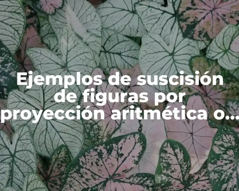 Ejemplos de suscisión de figuras por proyección aritmética o geométrica