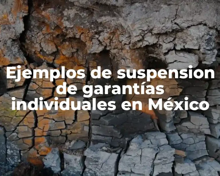 Ejemplos de suspension de garantías individuales en México
