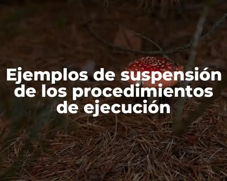 Ejemplos de suspensión de los procedimientos de ejecución