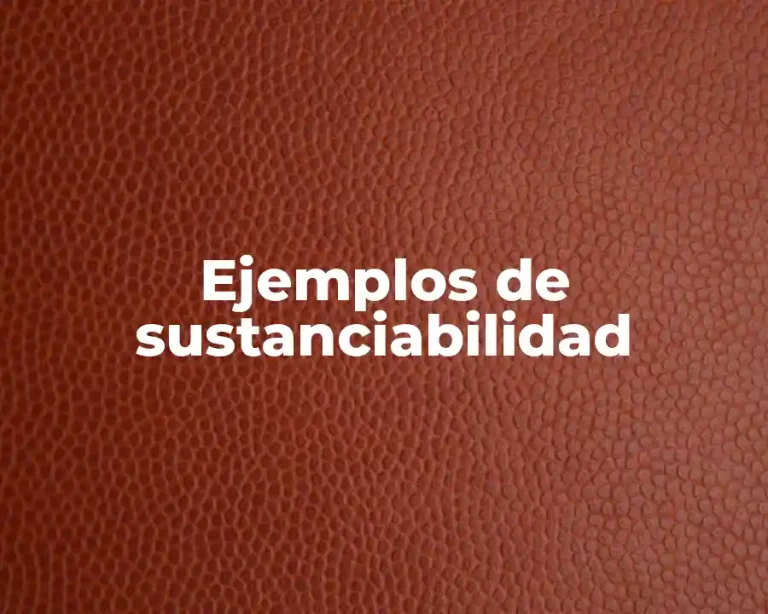 Ejemplos de sustanciabilidad