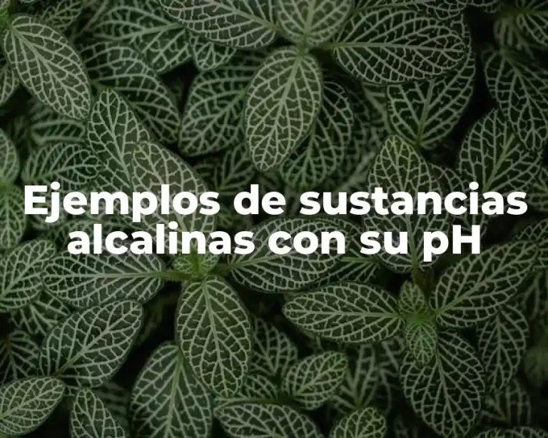 Ejemplos de sustancias alcalinas con su pH