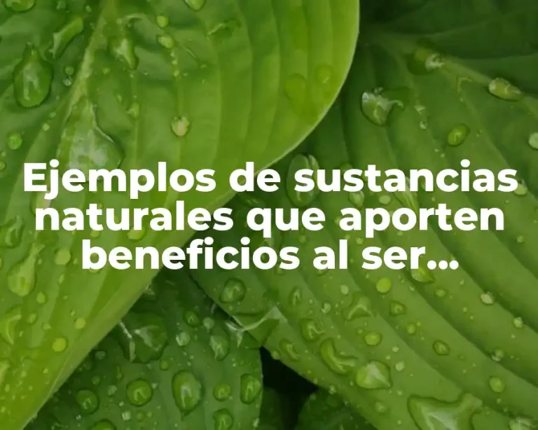 Ejemplos de sustancias naturales que aporten beneficios al ser humano