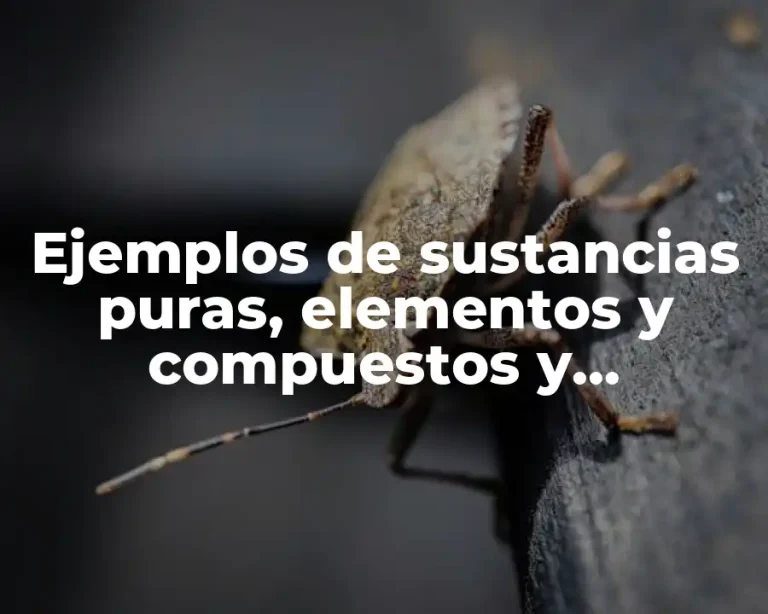 Ejemplos de sustancias puras, elementos y compuestos y Significado
