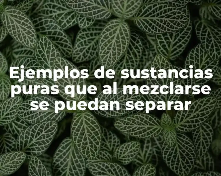 Ejemplos de sustancias puras que al mezclarse se puedan separar