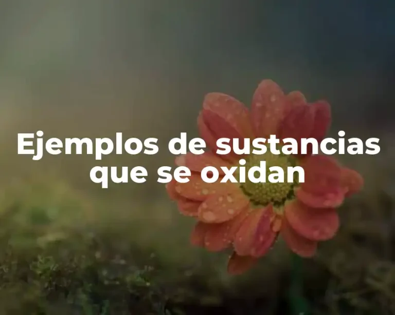 Ejemplos de sustancias que se oxidan