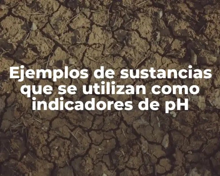 Ejemplos de sustancias que se utilizan como indicadores de pH