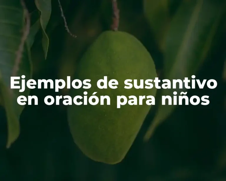 Ejemplos de sustantivo en oración para niños