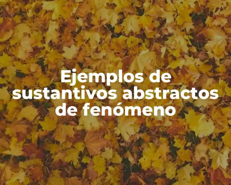 Ejemplos de sustantivos abstractos de fenómeno