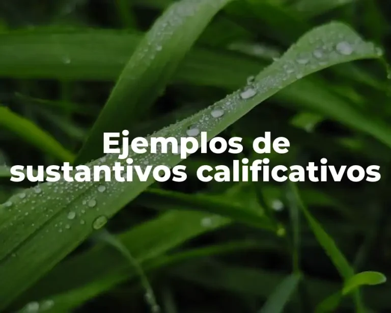Ejemplos de sustantivos calificativos
