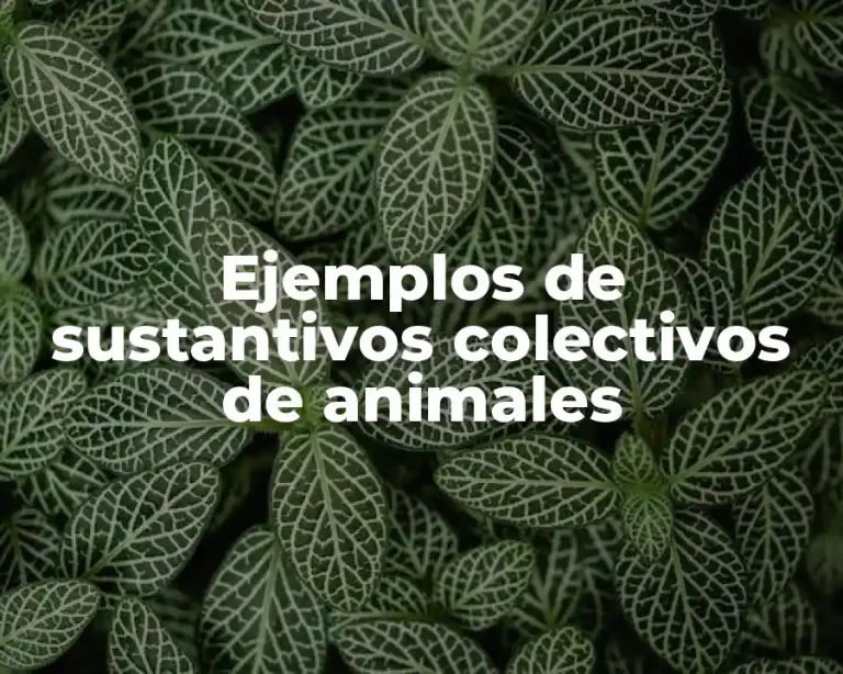 Ejemplos de sustantivos colectivos de animales