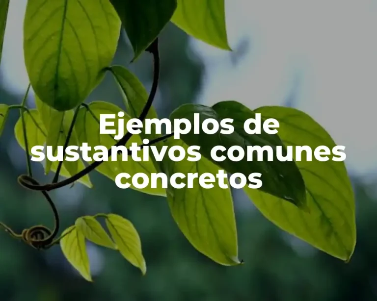 Ejemplos de sustantivos comunes concretos