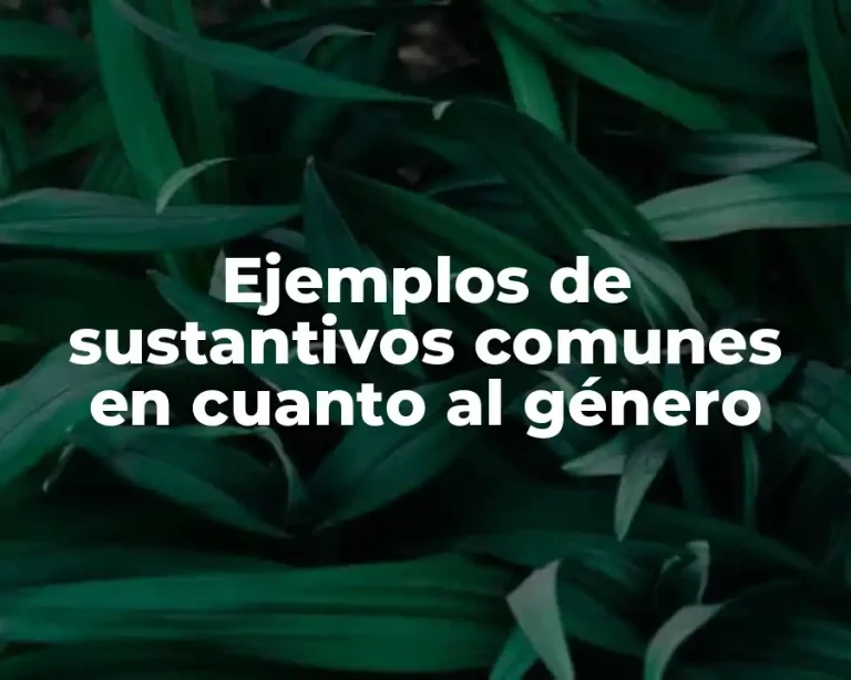 Ejemplos de sustantivos comunes en cuanto al género