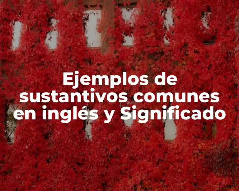 Ejemplos de sustantivos comunes en inglés y Significado