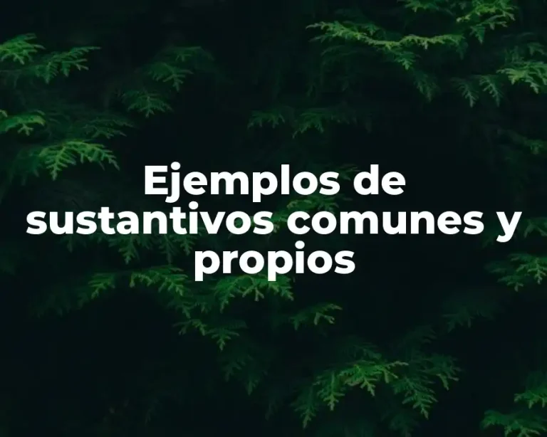 Ejemplos de sustantivos comunes y propios