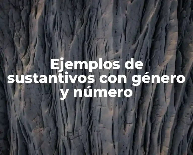 Ejemplos de sustantivos con género y número