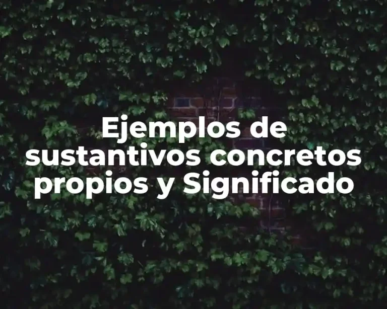 Ejemplos de sustantivos concretos propios y Significado