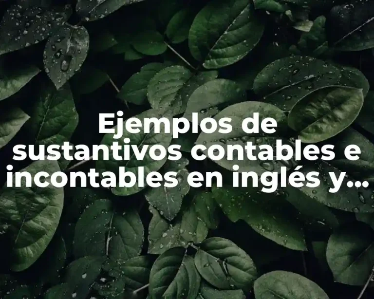 Ejemplos de sustantivos contables e incontables en inglés y Significado