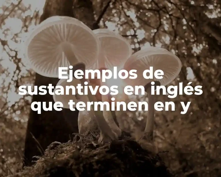 Ejemplos de sustantivos en inglés que terminen en y