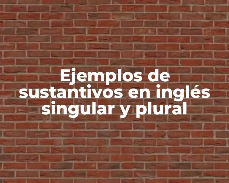 Ejemplos de sustantivos en inglés singular y plural