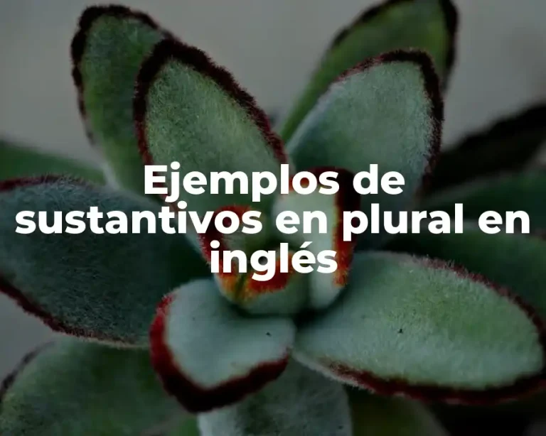 Ejemplos de sustantivos en plural en inglés