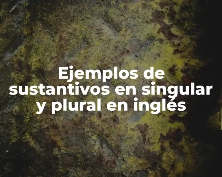 Ejemplos de sustantivos en singular y plural en inglés