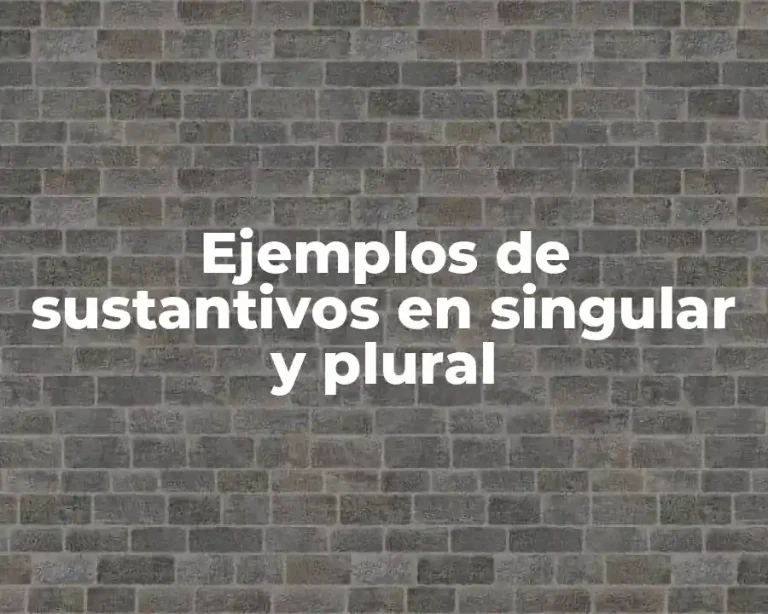 Ejemplos de sustantivos en singular y plural