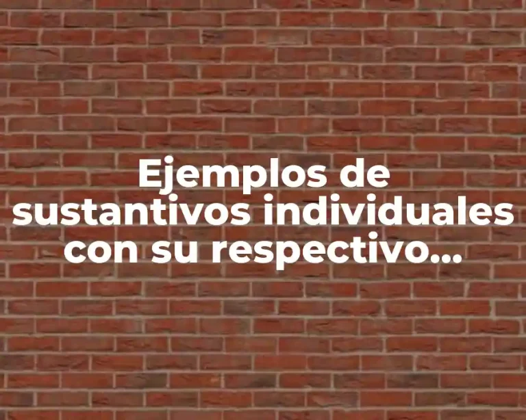 Ejemplos de sustantivos individuales con su respectivo colectivo