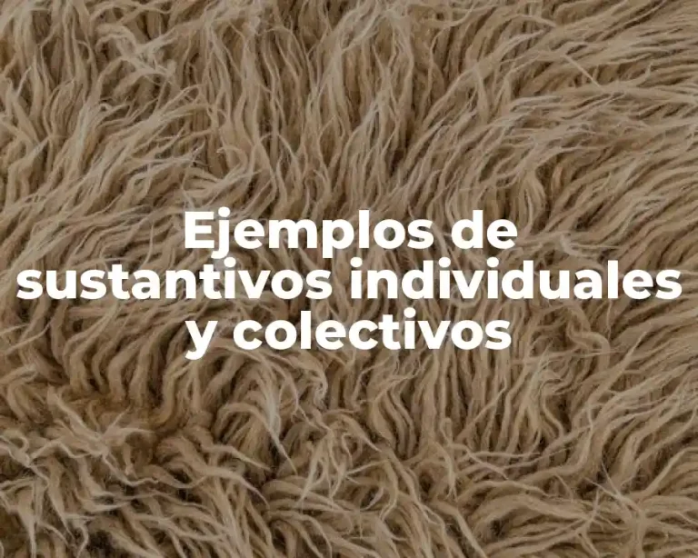 Ejemplos de sustantivos individuales y colectivos