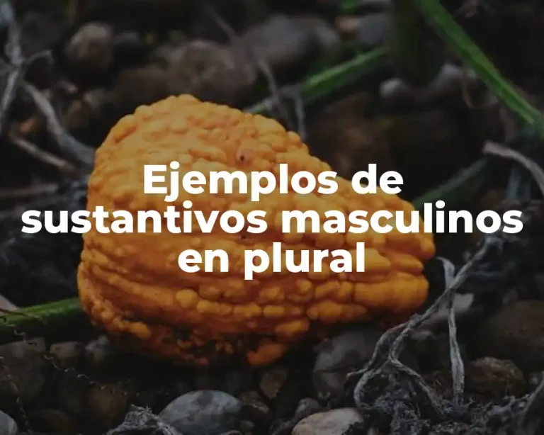 Ejemplos de sustantivos masculinos en plural