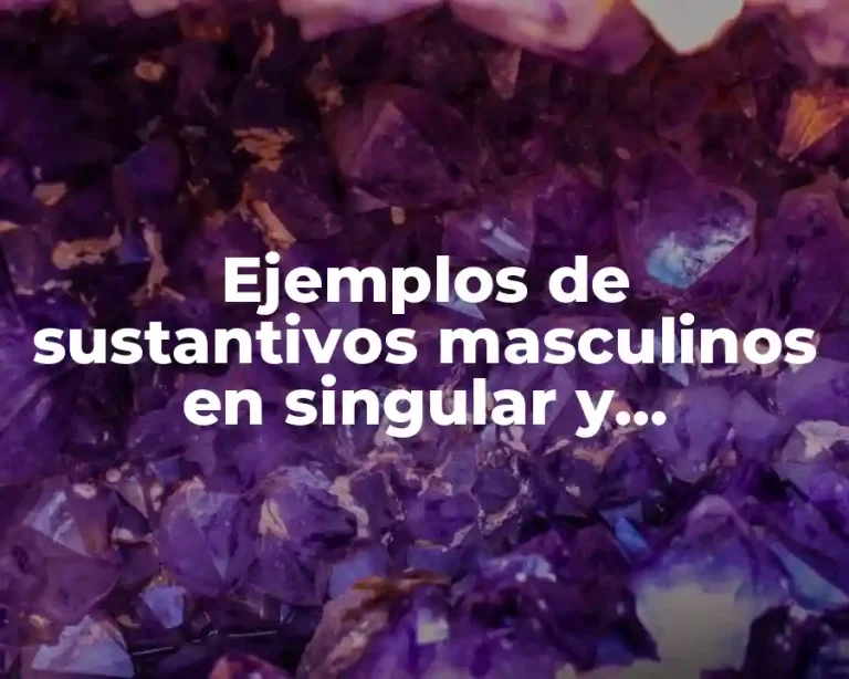 Ejemplos de sustantivos masculinos en singular y Significado