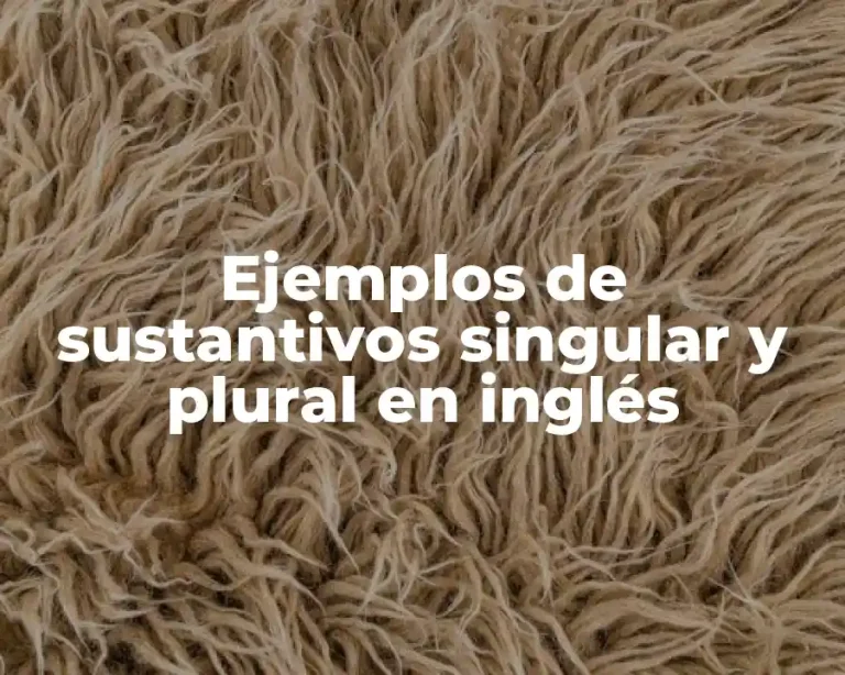 Ejemplos de sustantivos singular y plural en inglés