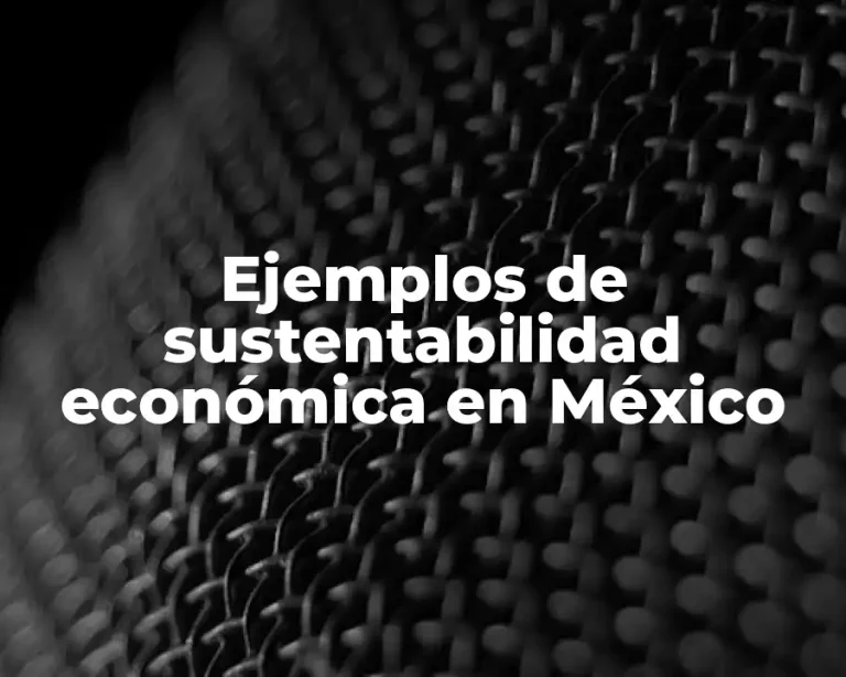 Ejemplos de sustentabilidad económica en México