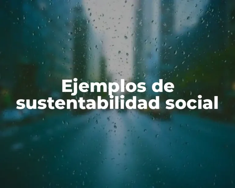 Ejemplos de sustentabilidad social