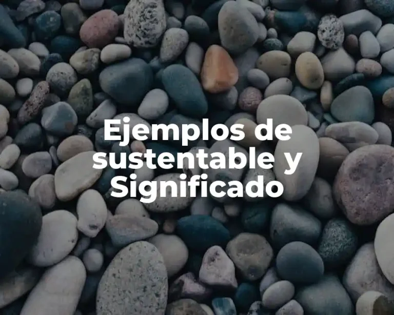 Ejemplos de sustentable y Significado