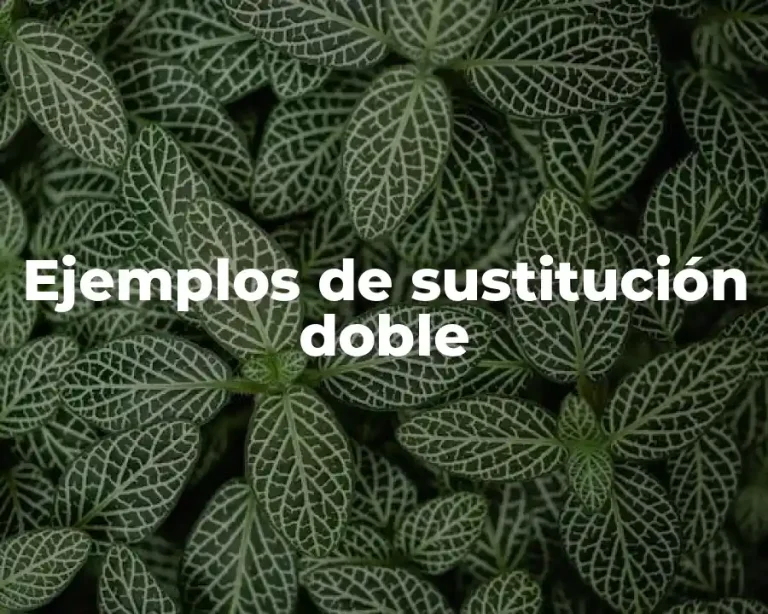 Ejemplos de sustitución doble