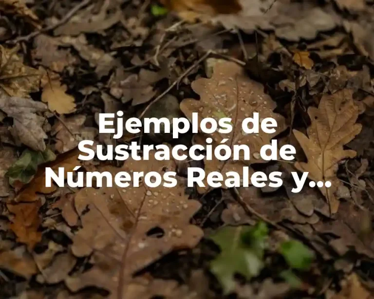 Ejemplos de Sustracción de Números Reales y Significado