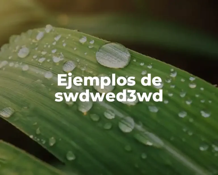 Ejemplos de swdwed3wd