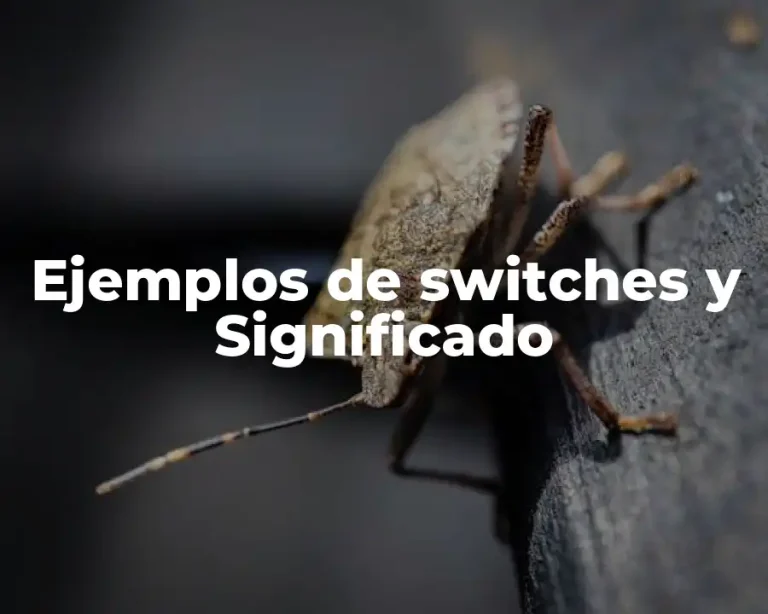 Ejemplos de switches y Significado