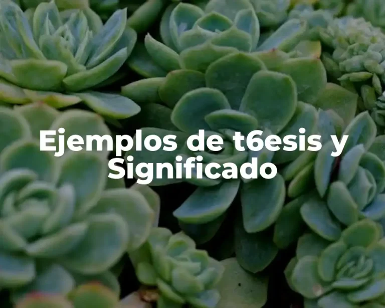Ejemplos de t6esis y Significado
