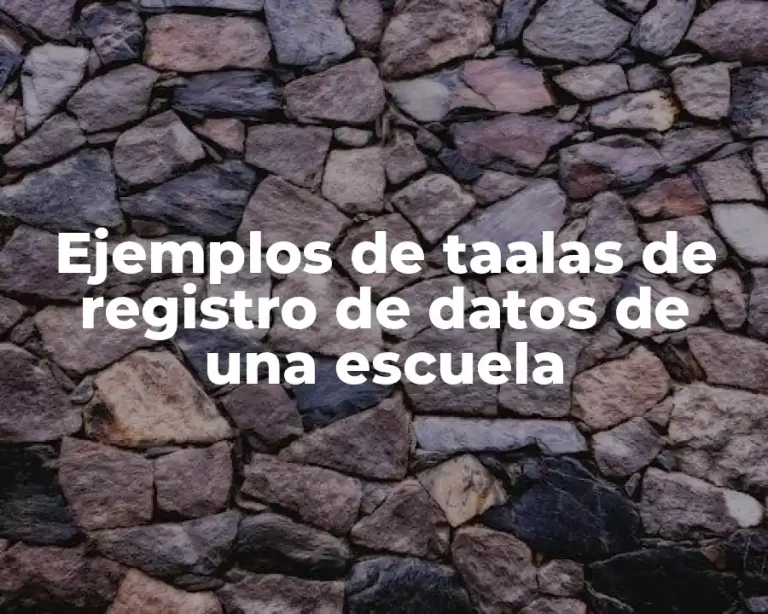 Ejemplos de taalas de registro de datos de una escuela