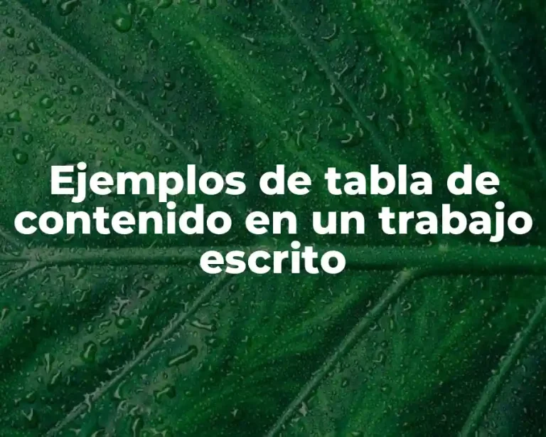 Ejemplos de tabla de contenido en un trabajo escrito