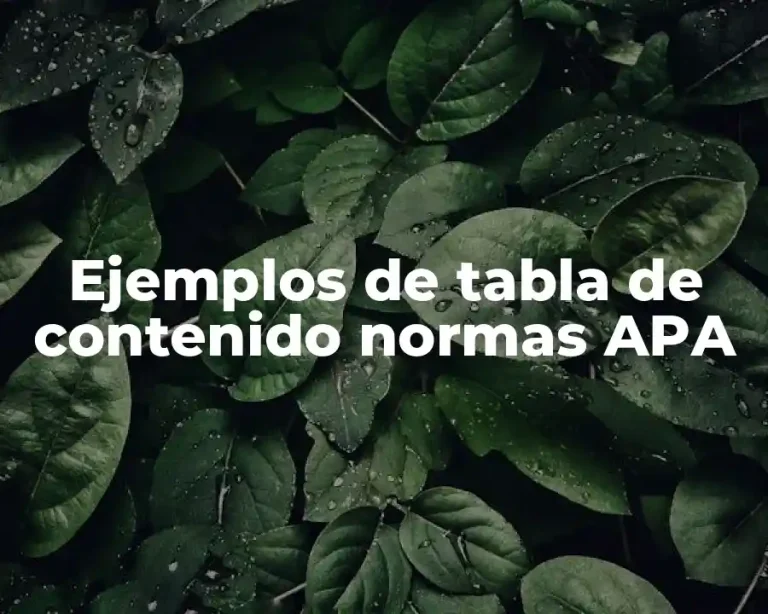 Ejemplos de tabla de contenido normas APA