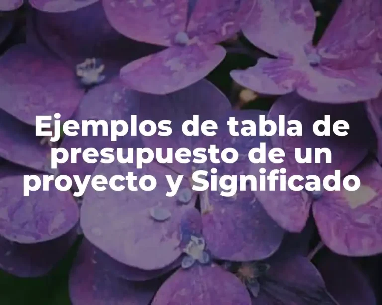 Ejemplos de tabla de presupuesto de un proyecto y Significado