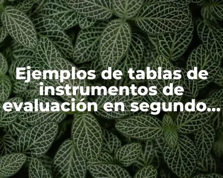 Ejemplos de tablas de instrumentos de evaluación en segundo grado