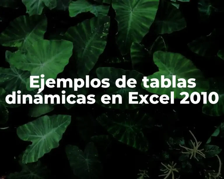 Ejemplos de tablas dinámicas en Excel 2010