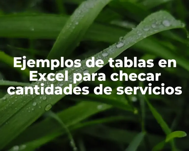 Ejemplos de tablas en Excel para checar cantidades de servicios