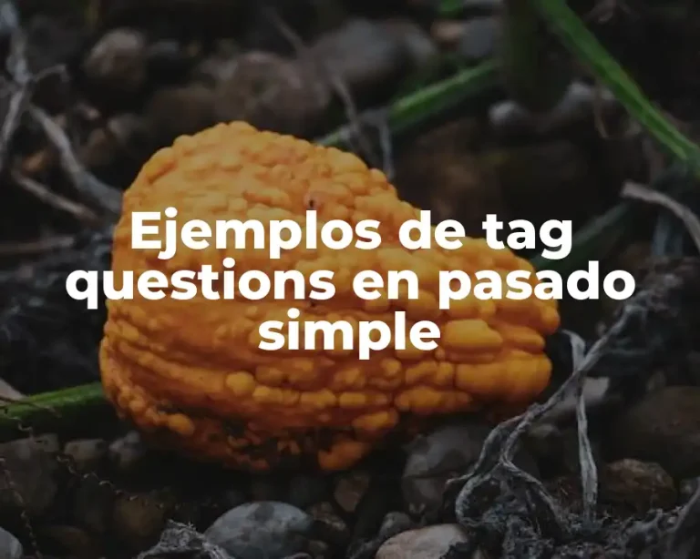 Ejemplos de tag questions en pasado simple
