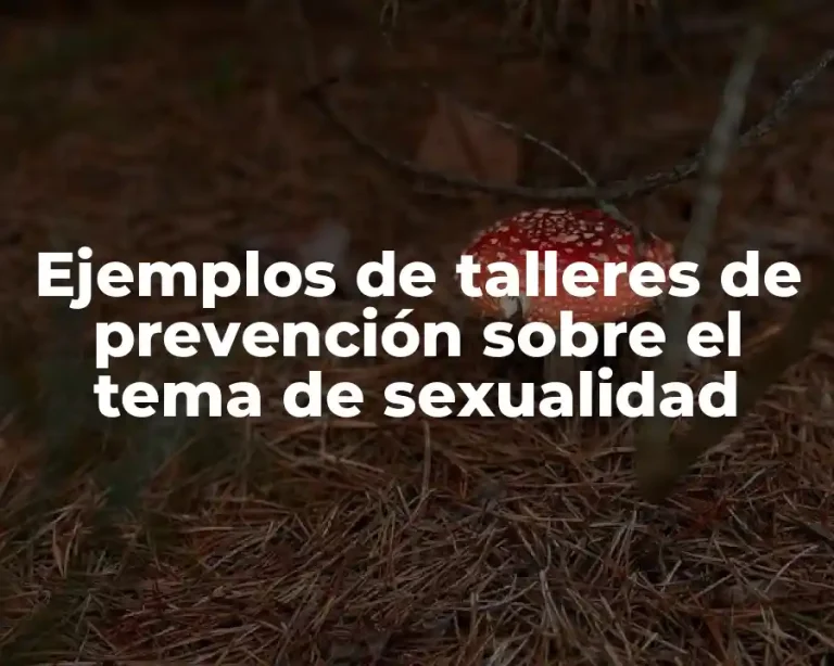 Ejemplos de talleres de prevención sobre el tema de sexualidad