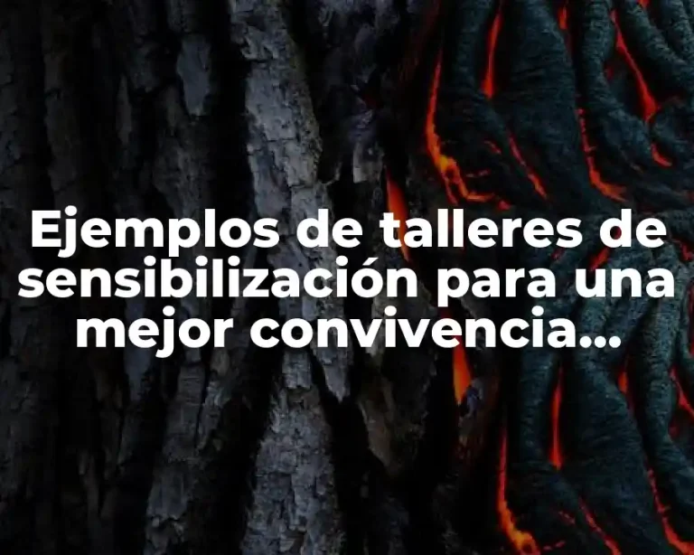 Ejemplos de talleres de sensibilización para una mejor convivencia escolar